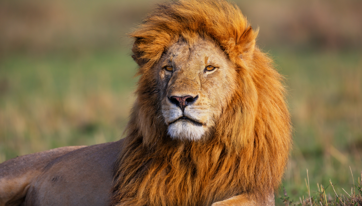 Design sem nome (32)